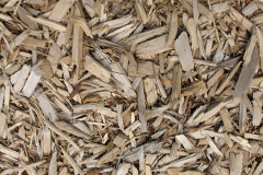 biomass boilers Fulflood
